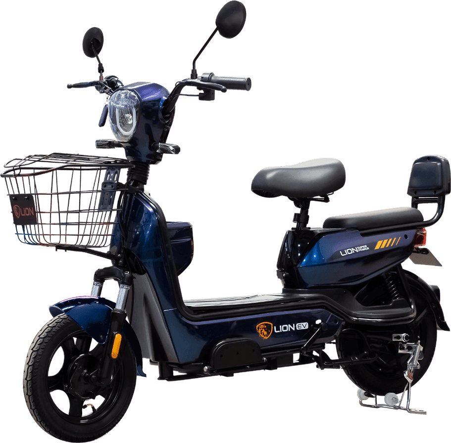Lion S09-2024