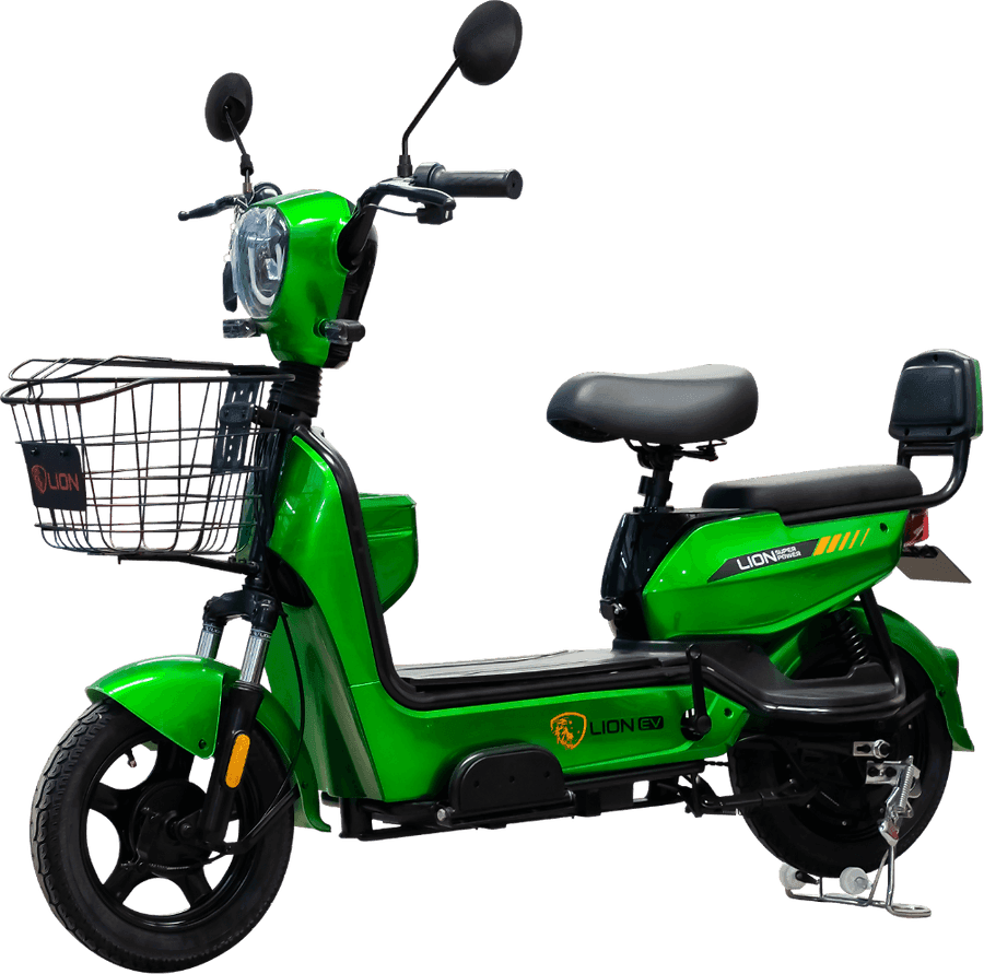 Lion S09-2024