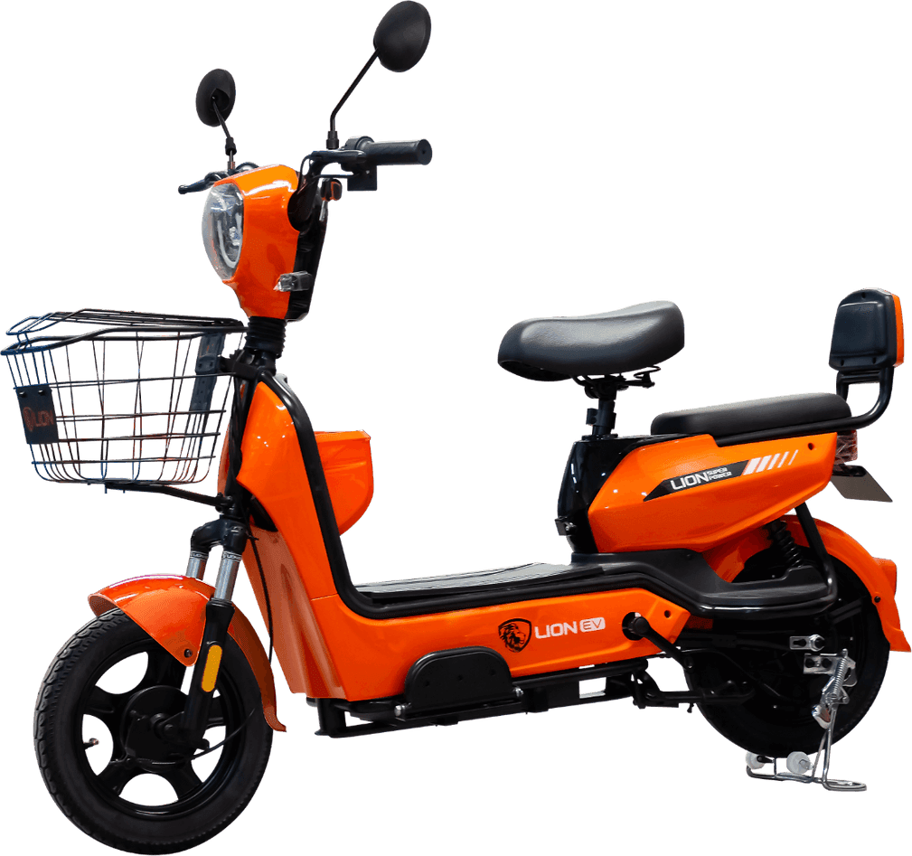 Lion S09-2024
