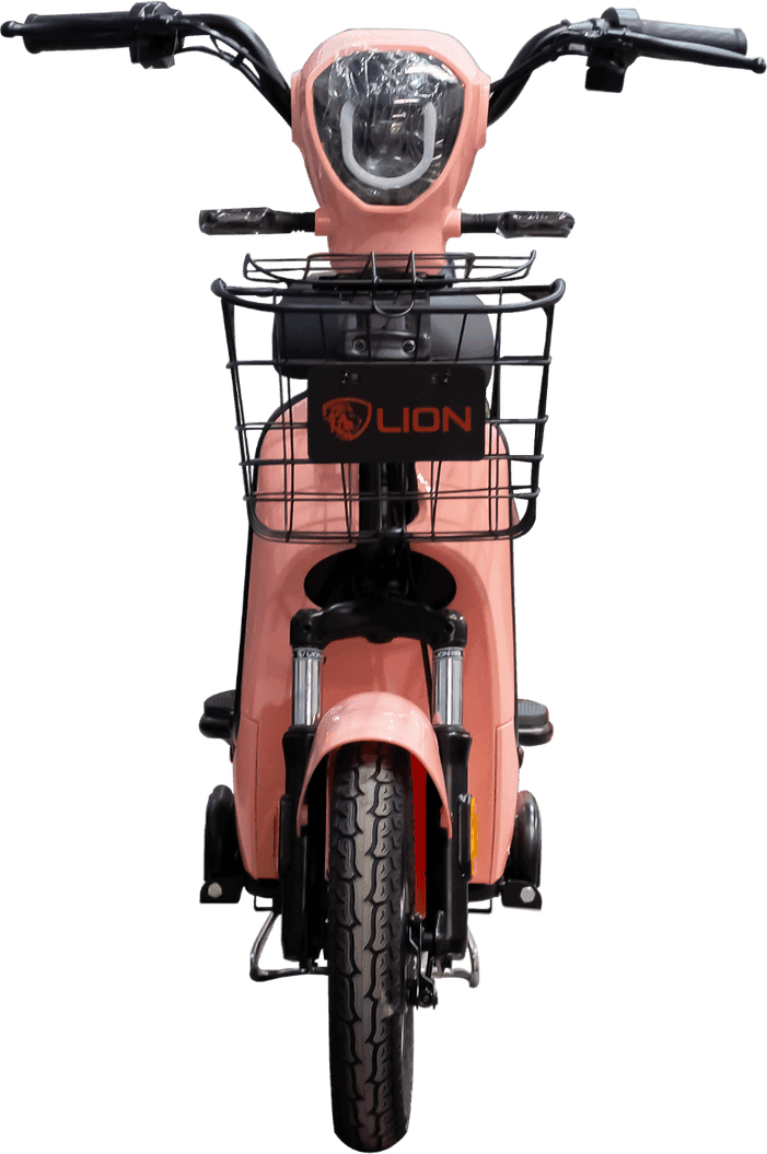 Lion S09-2024