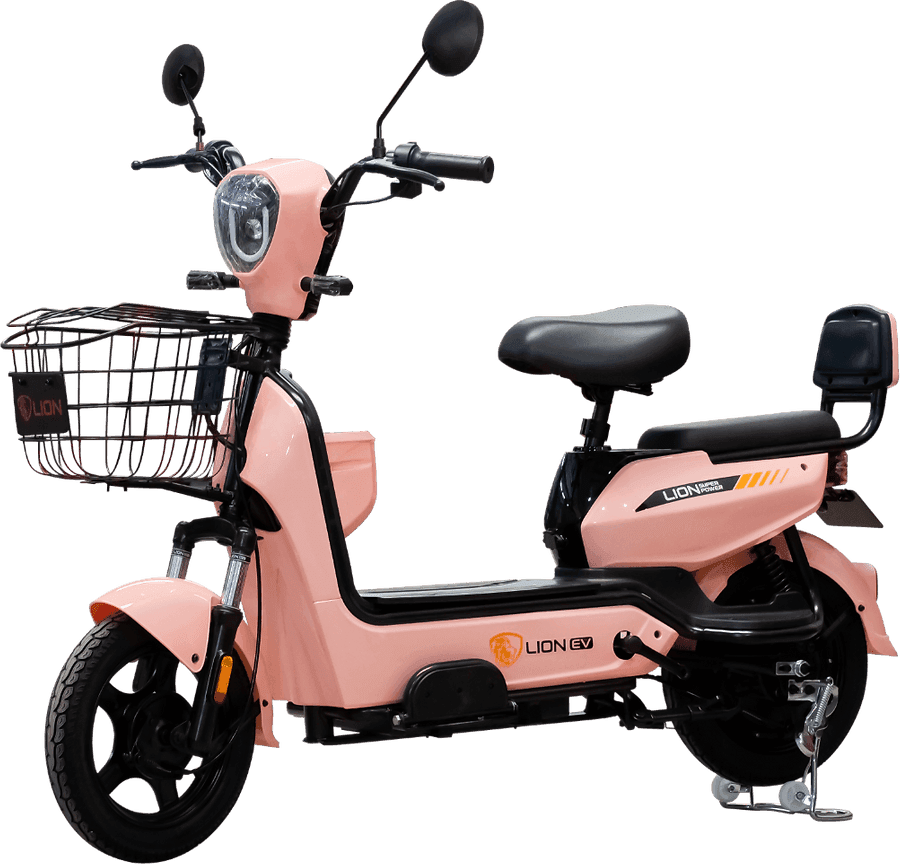 Lion S09-2024