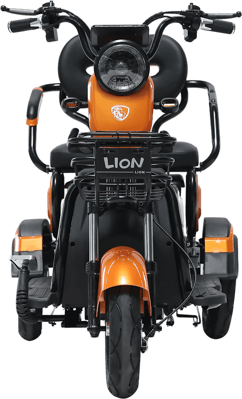 Lion 6602-2N 2024