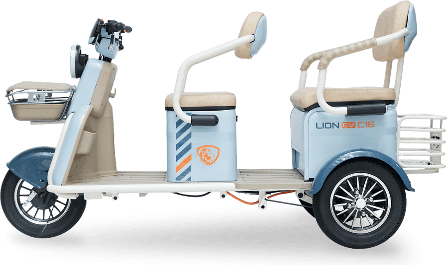 Lion C16