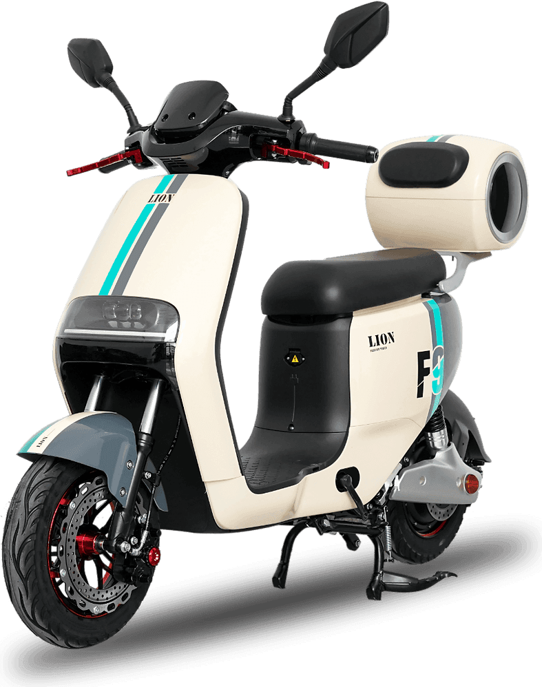 Lion F9 Two-Tone