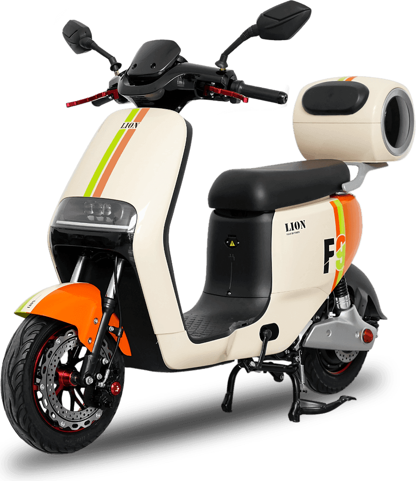 Lion F9 Two-Tone