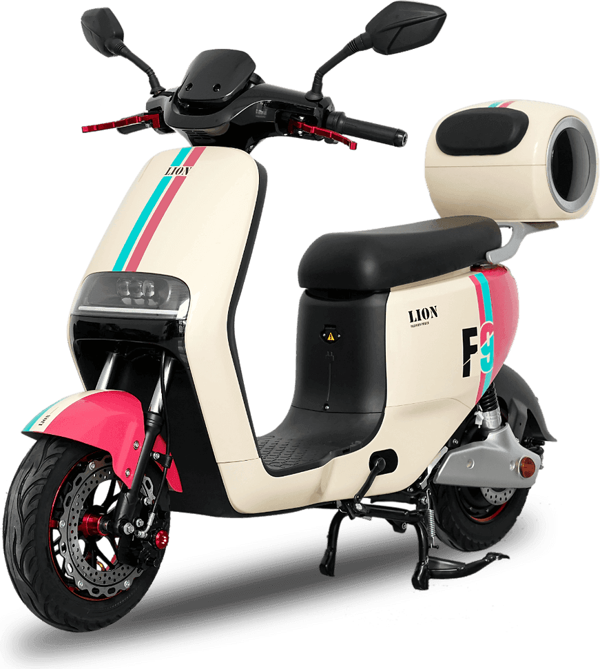 Lion F9 Two-Tone