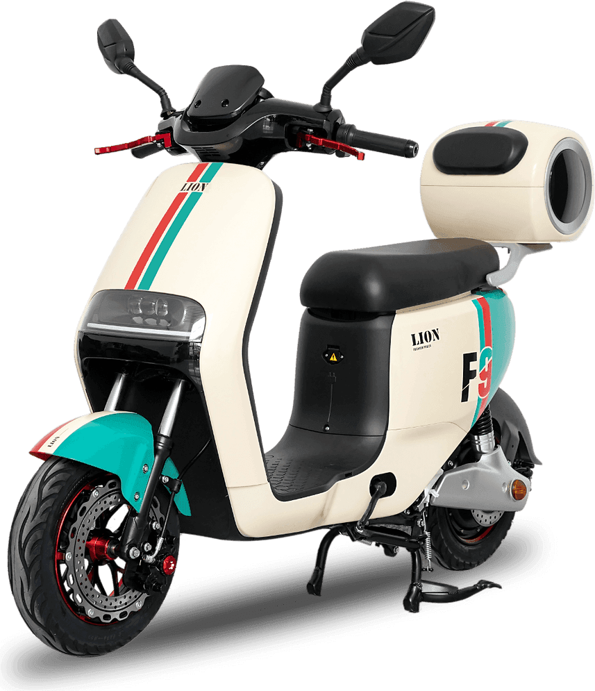 Lion F9 Two-Tone