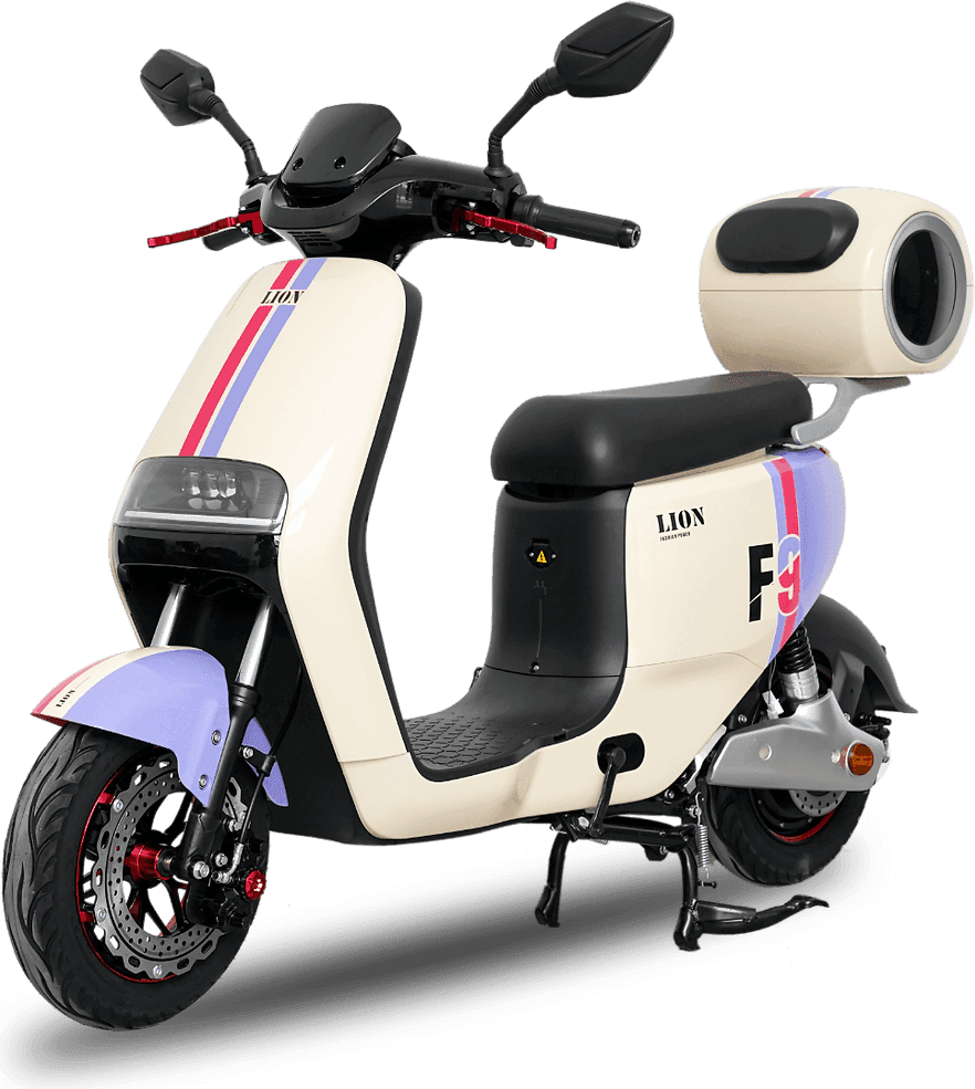Lion F9 Two-Tone