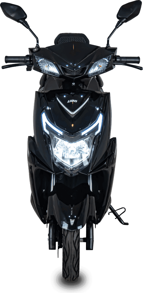 Lion Q2