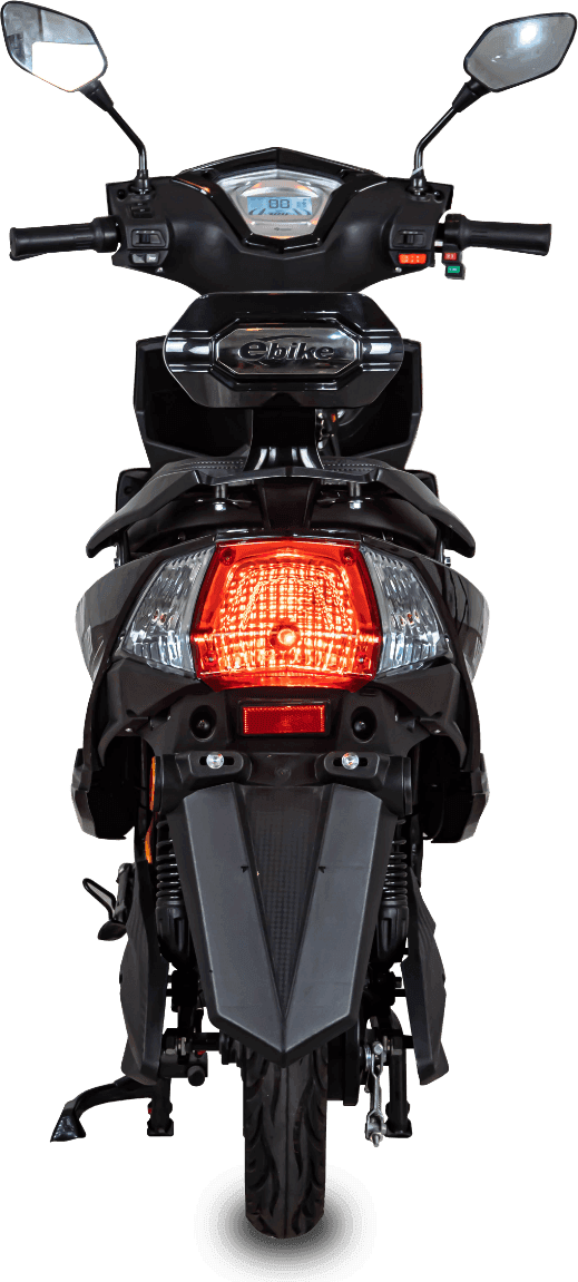 Lion Q2