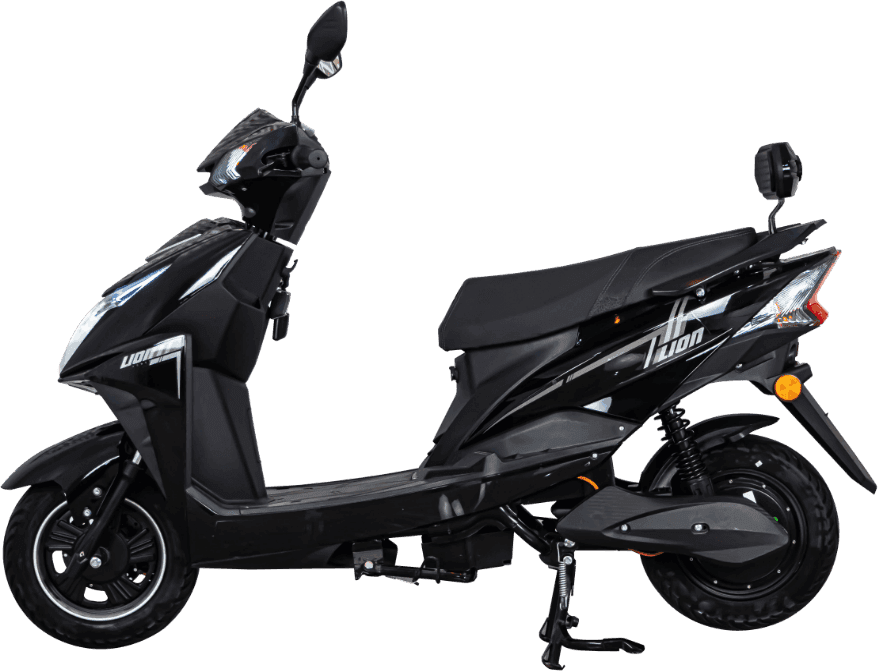 Lion Q2