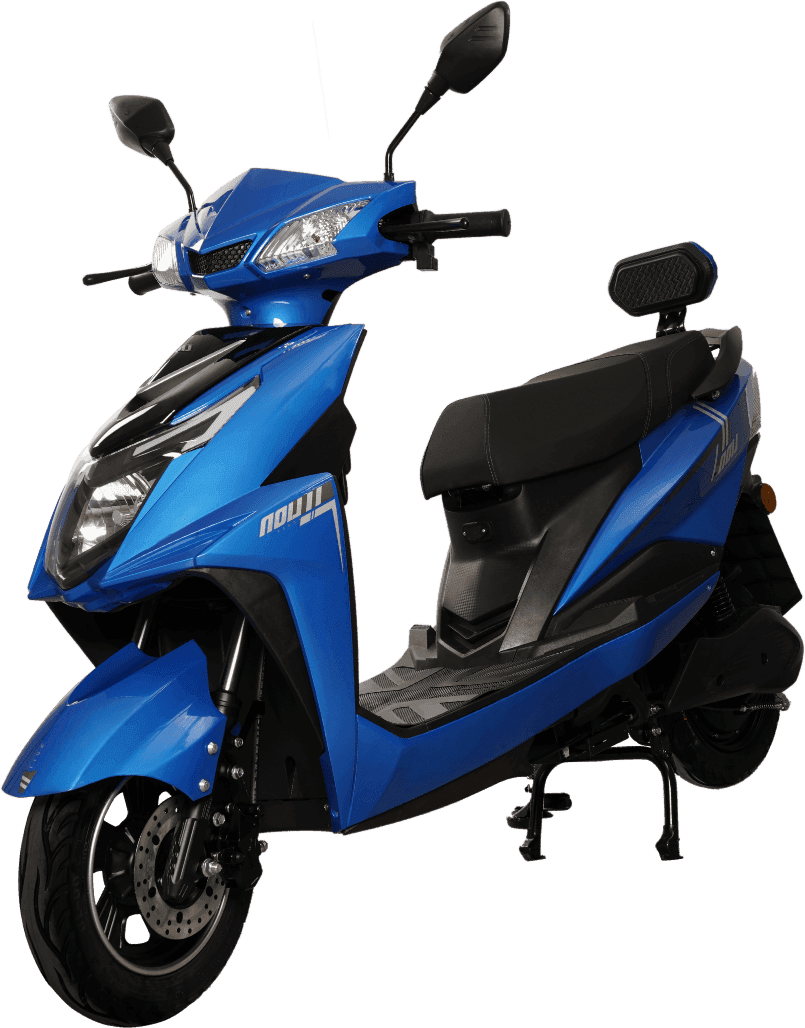 Lion Q2