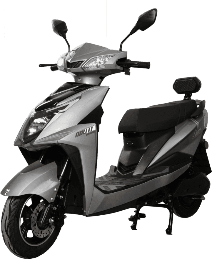 Lion Q2