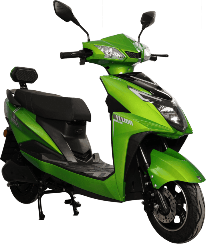 Lion Q2