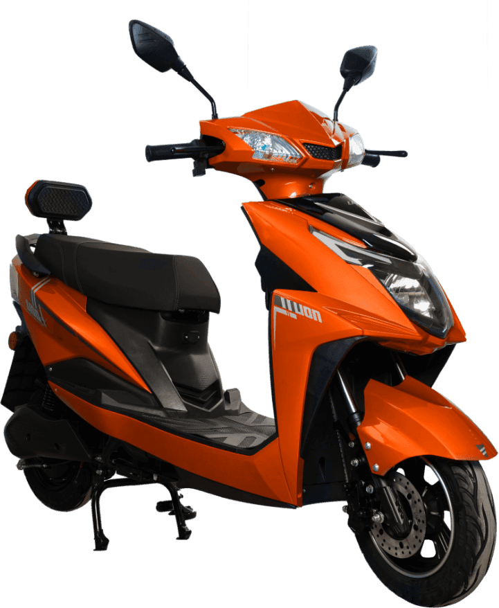 Lion Q2