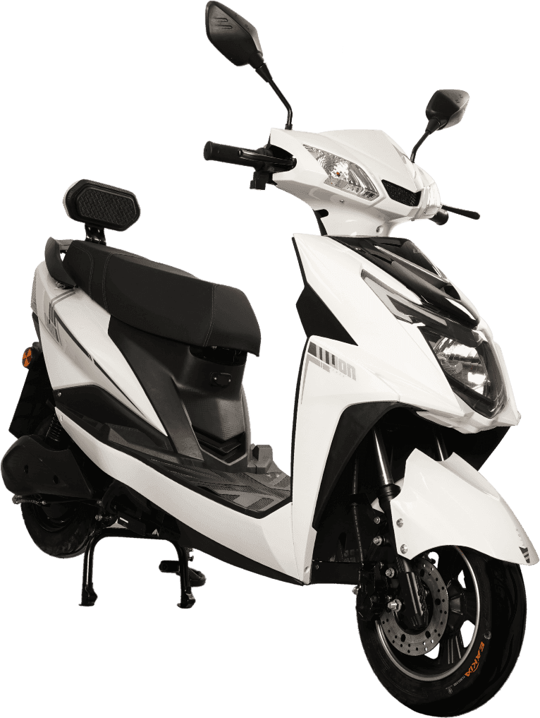 Lion Q2