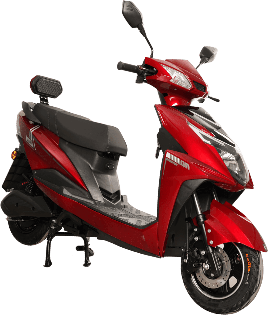 Lion Q2