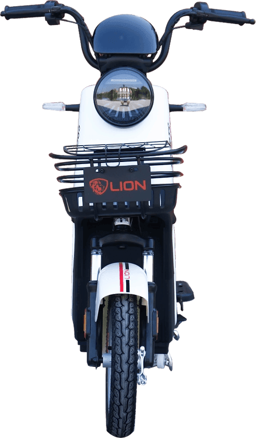 Lion S05