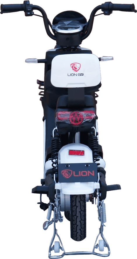 Lion S05