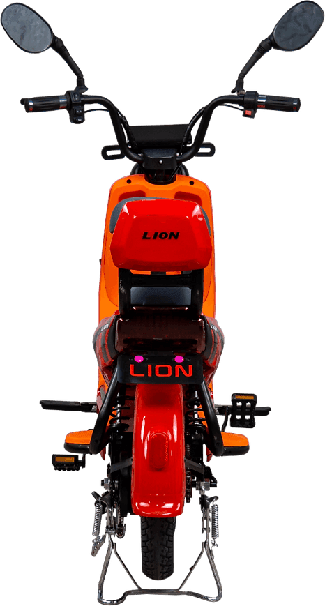 Lion S06
