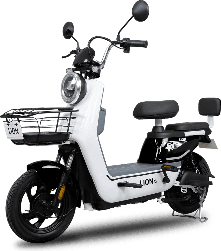 Lion S07