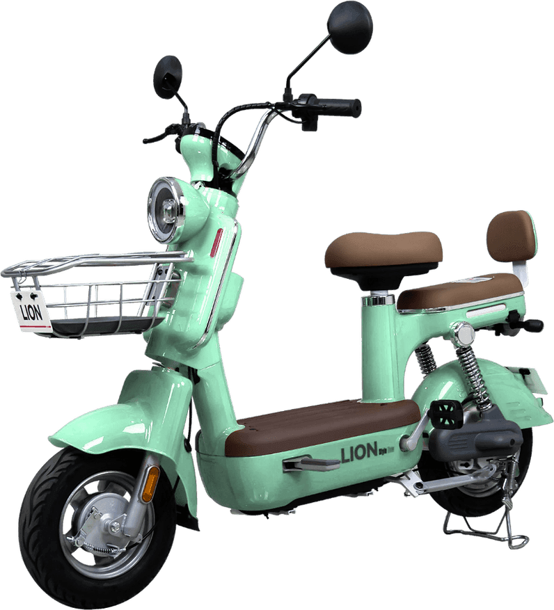 Lion S08
