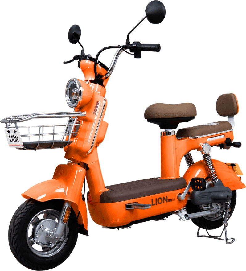 Lion S08