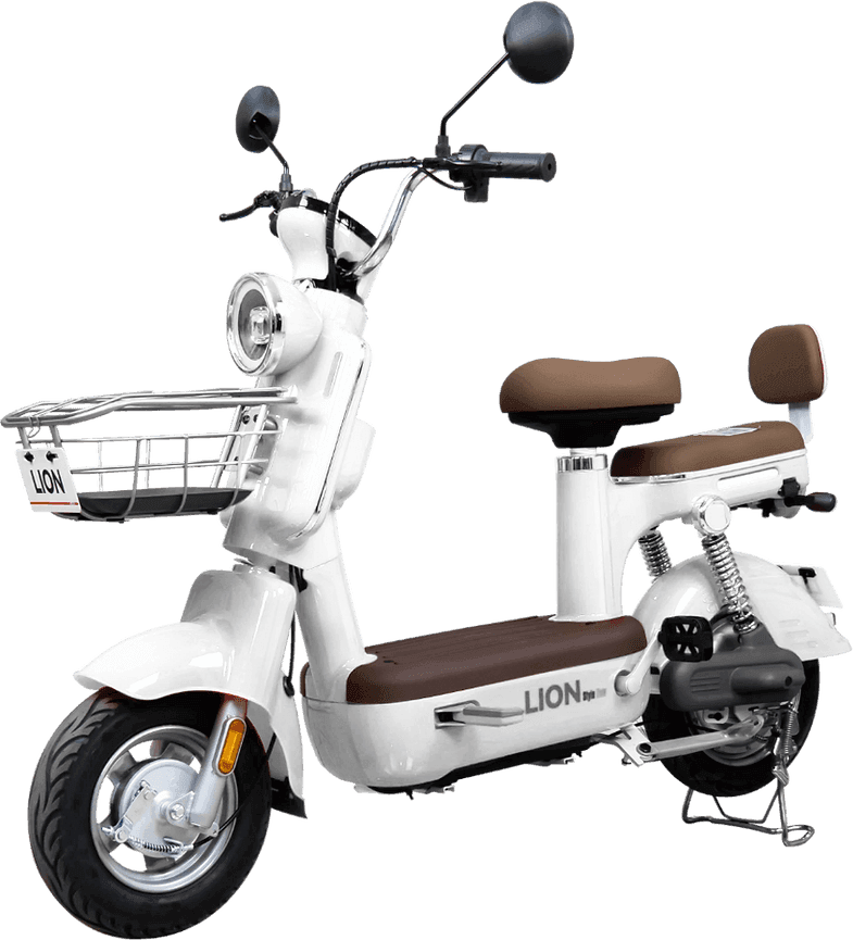 Lion S08