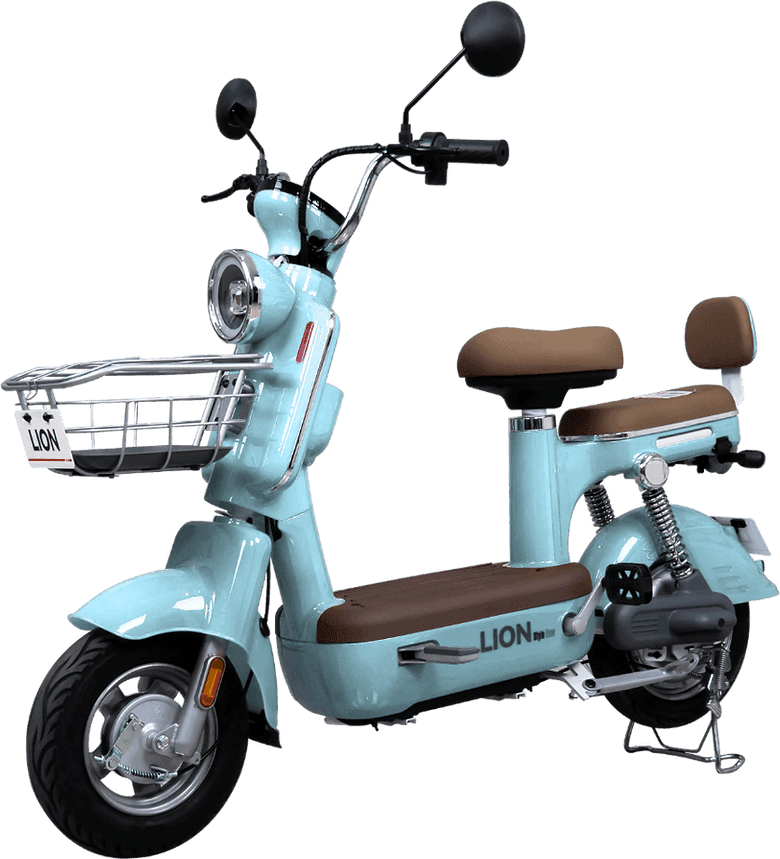 Lion S08