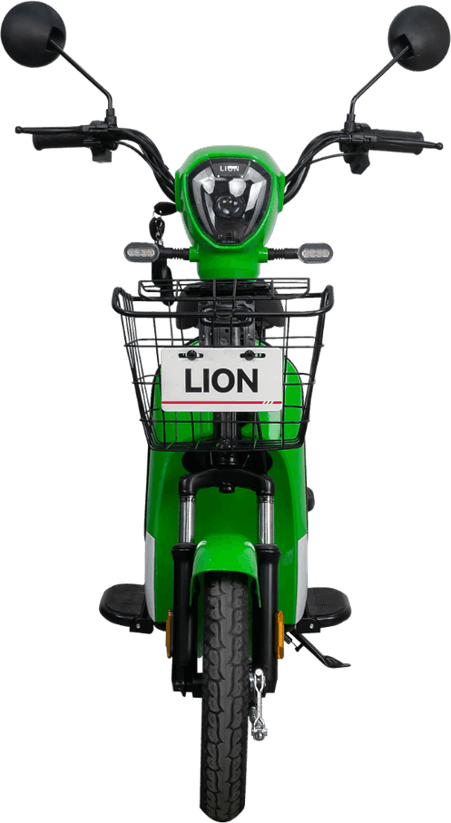 Lion S09
