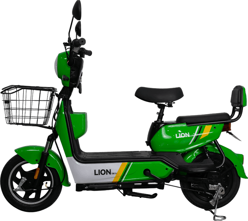 Lion S09