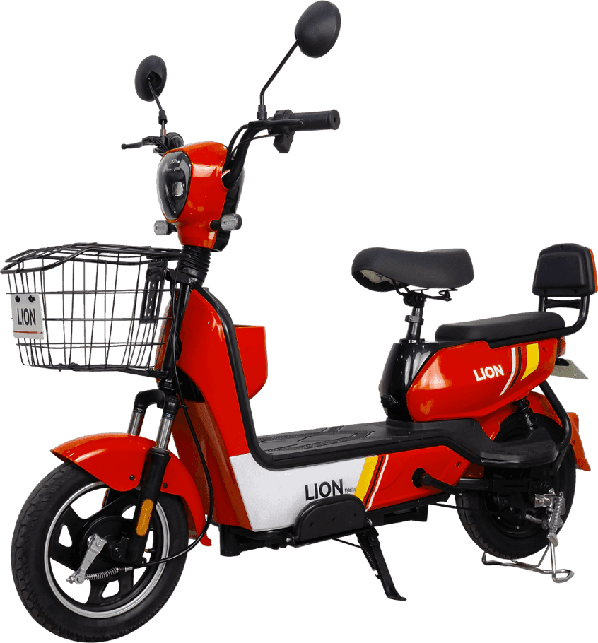 Lion S09
