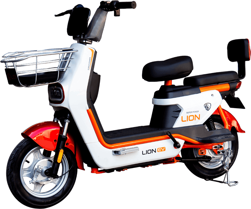 Lion S10