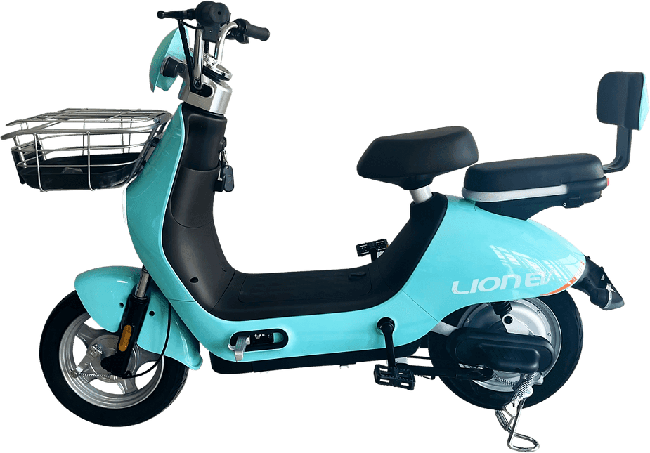 Lion S11