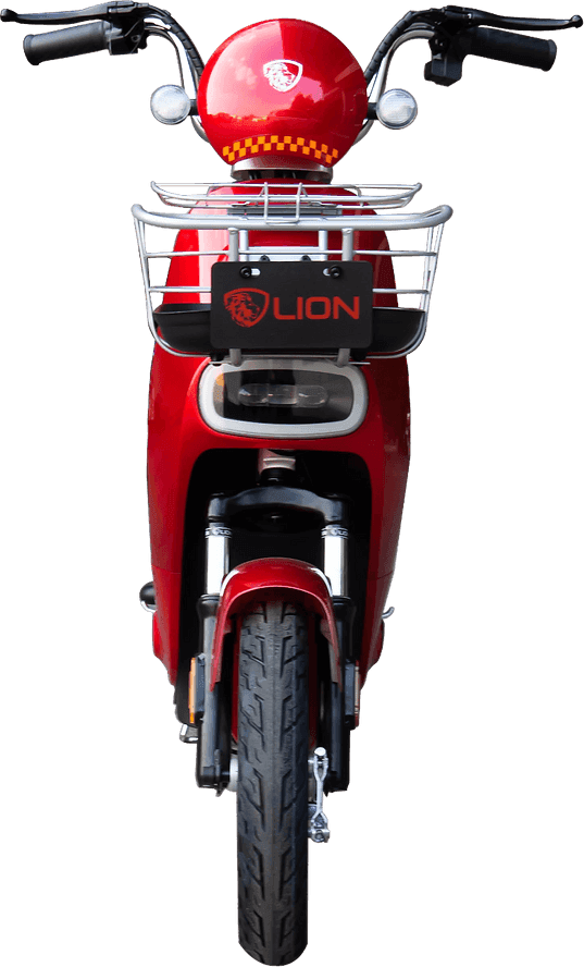 Lion S11