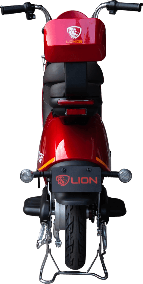 Lion S11