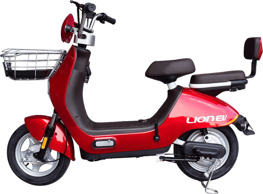 Lion S11