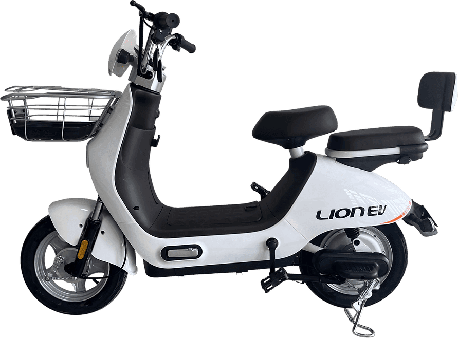 Lion S11