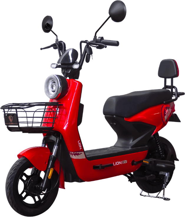 Lion S12
