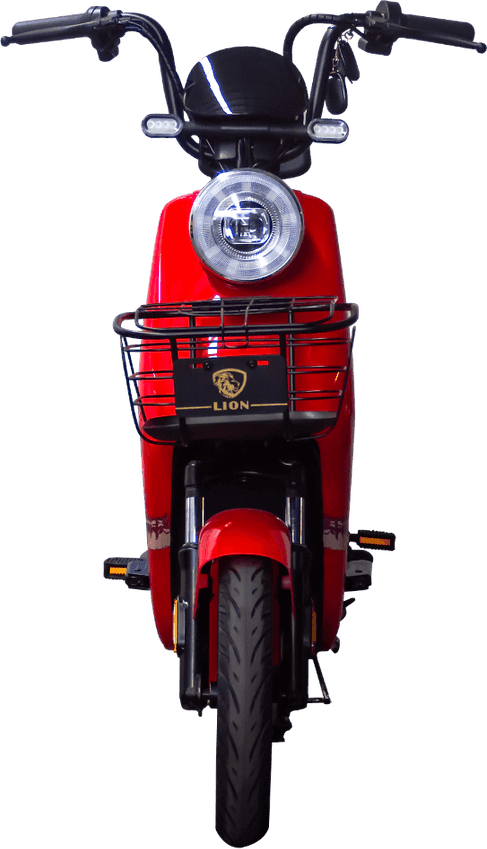 Lion S12
