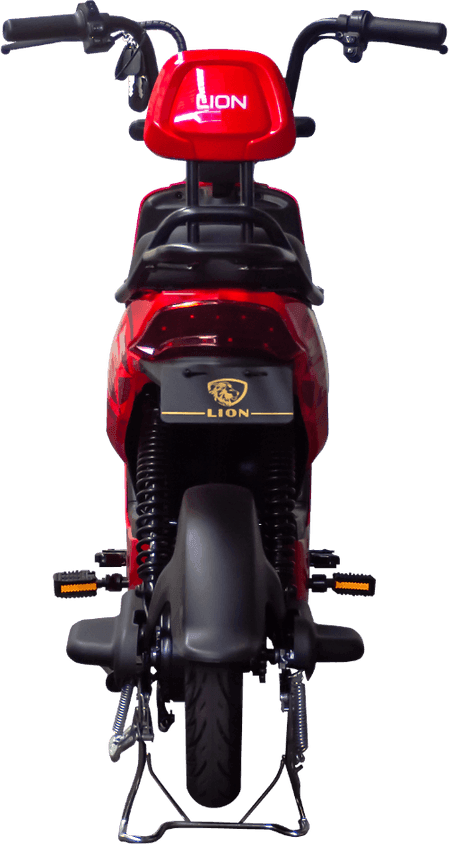Lion S12