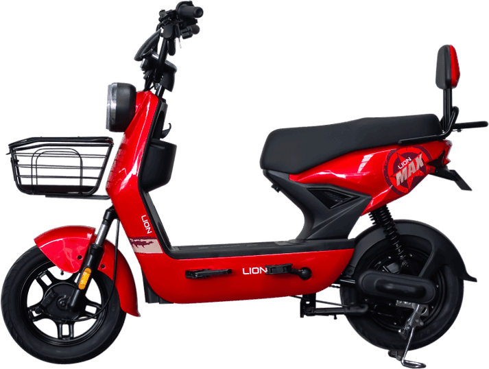 Lion S12