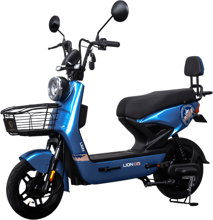 Lion S12